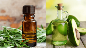 Rosemary oil for hair growth 6 rosemary oil for hair growth recipe with oil avocado